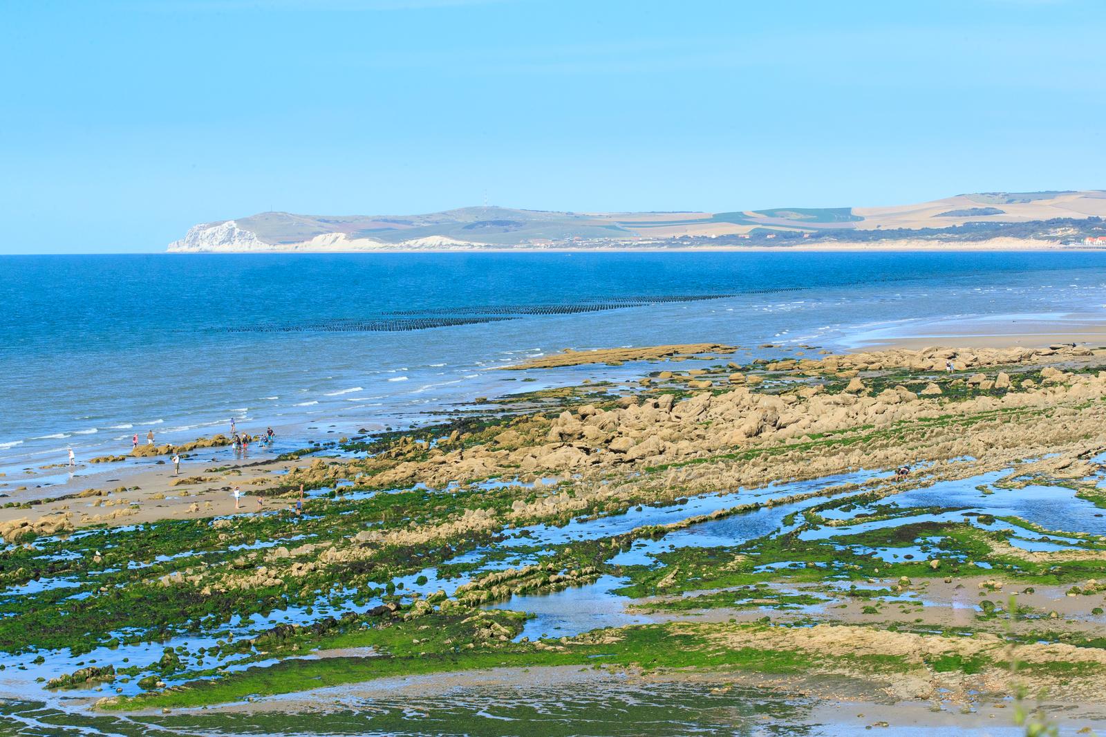 Audinghen - Cap Gris Nez