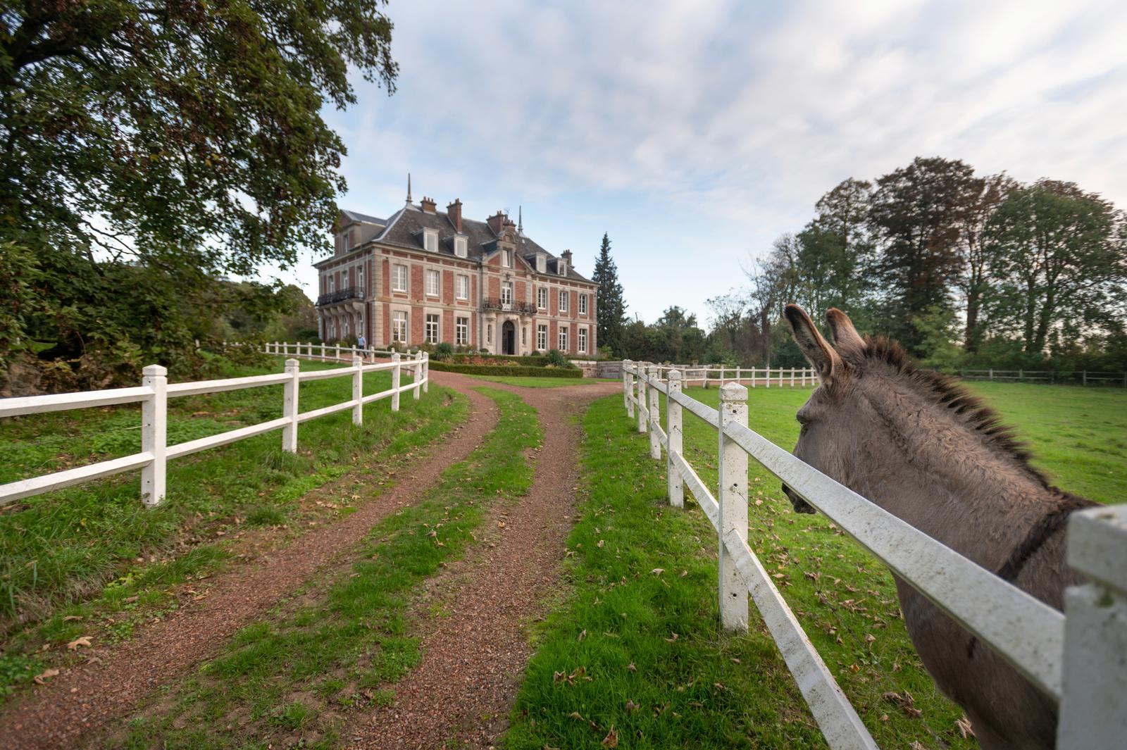 Maissemy : allée menant au domaine de Vadancourt