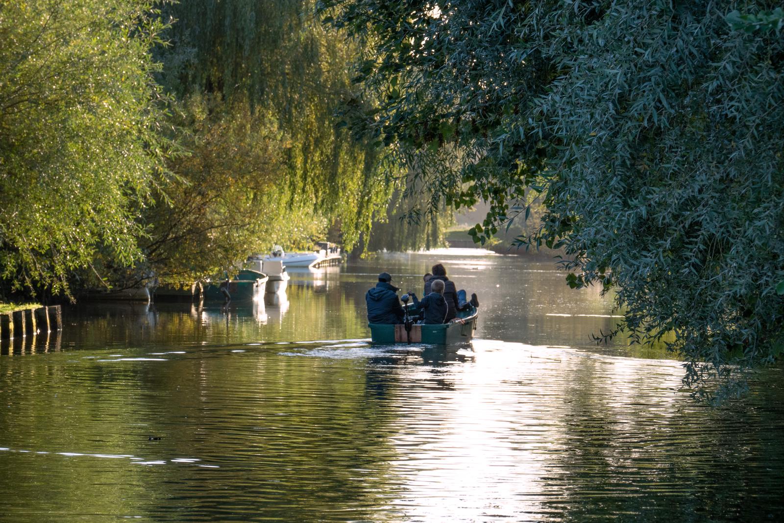 Promenade en barque sur le marais audomarois