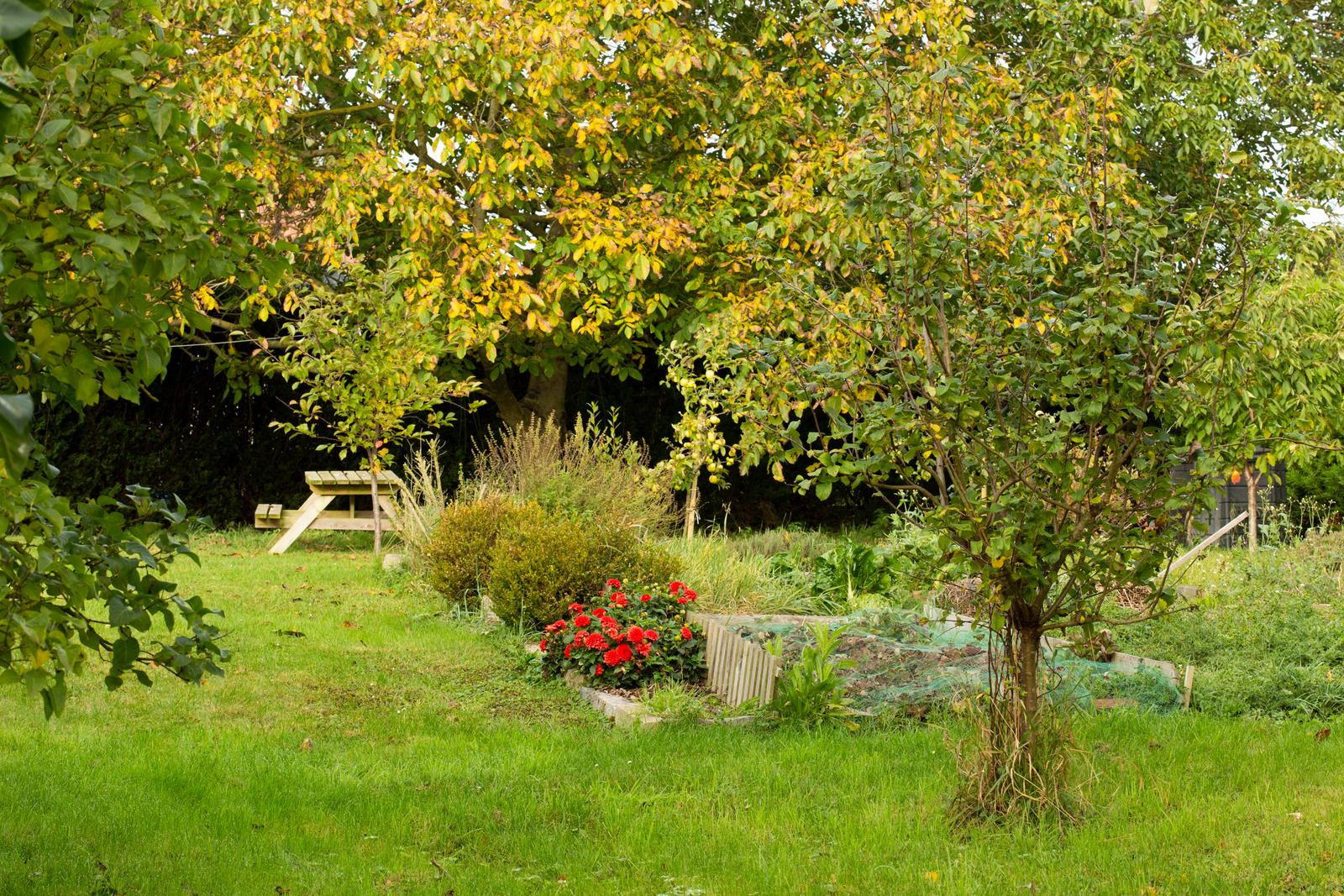 La Gorgue : chambre d'hôtes la Ceriseraie 01