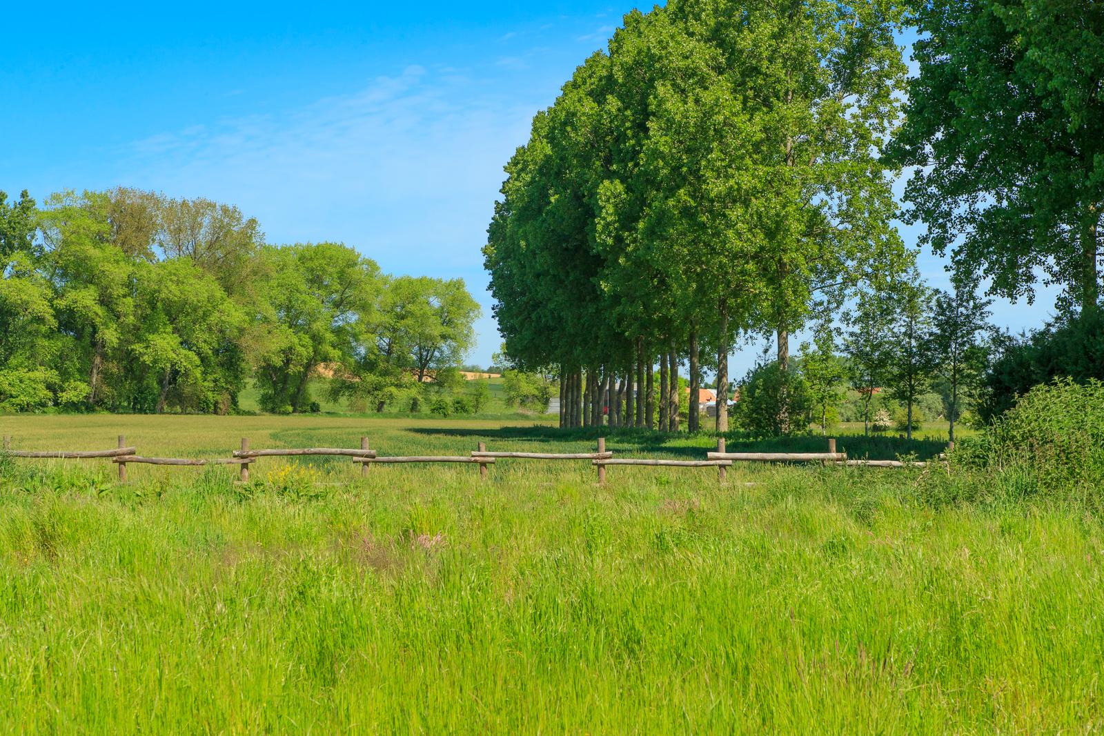 Frencq : Au moulin de Valérie, chambre d'hôtes 11