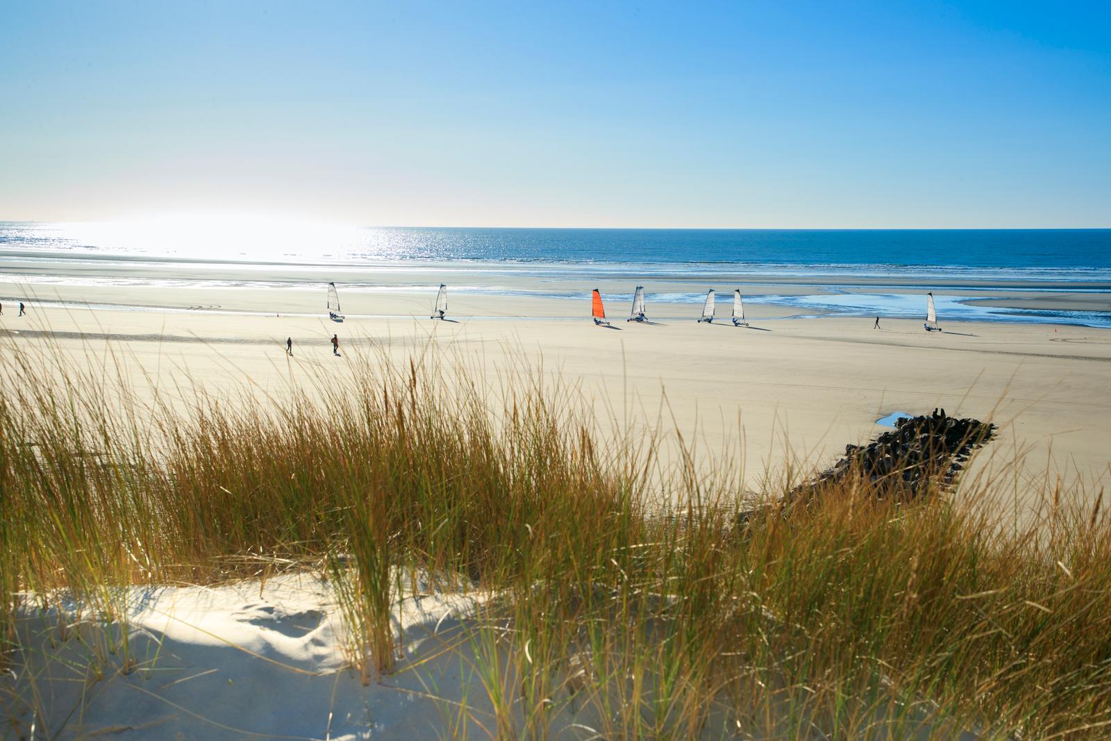 Berck-sur-Mer : chars en voile sur la plage en été