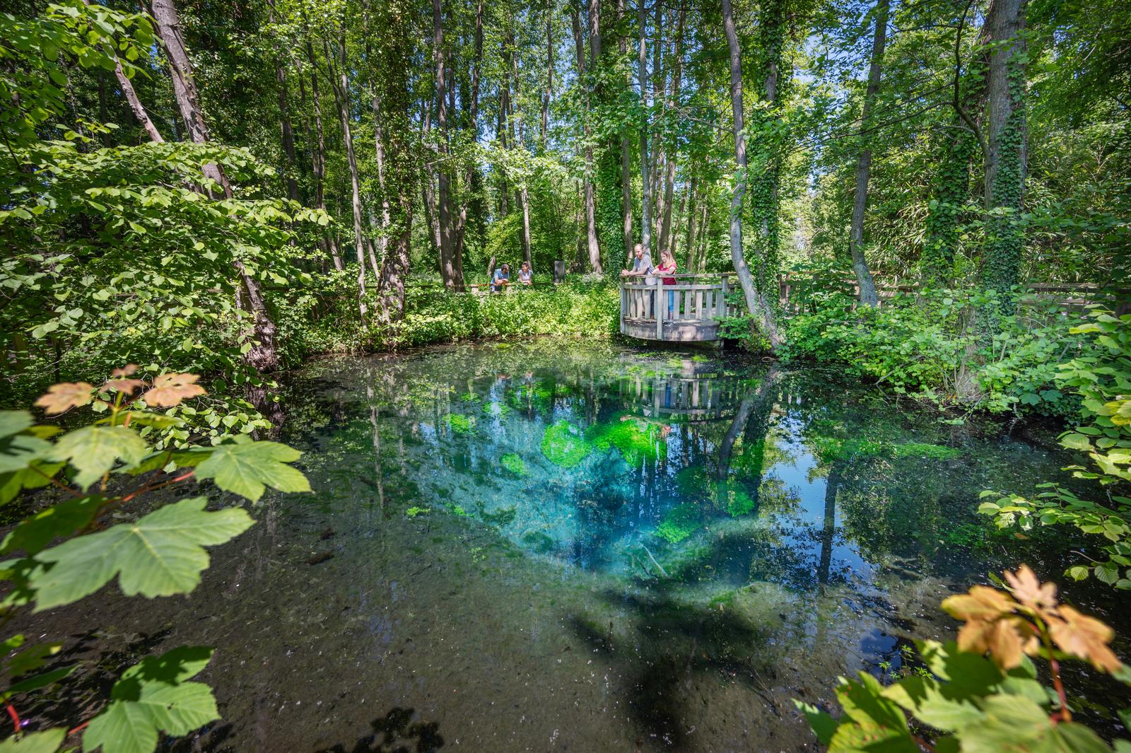 Abbeville : parc de la Bouvaque 03