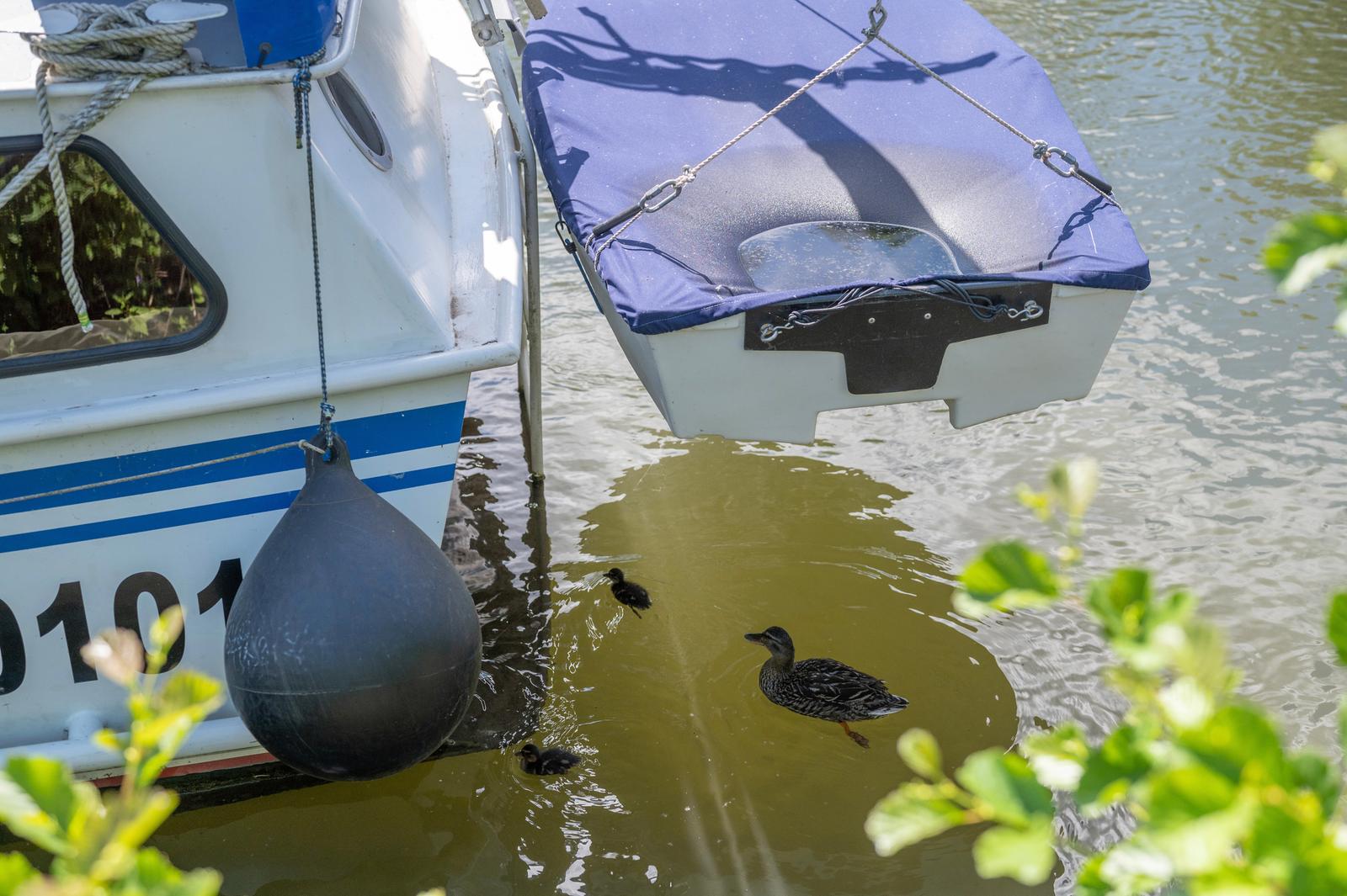 Eaucourt-sur-Somme : hébergement insolite bateau Sealov 44