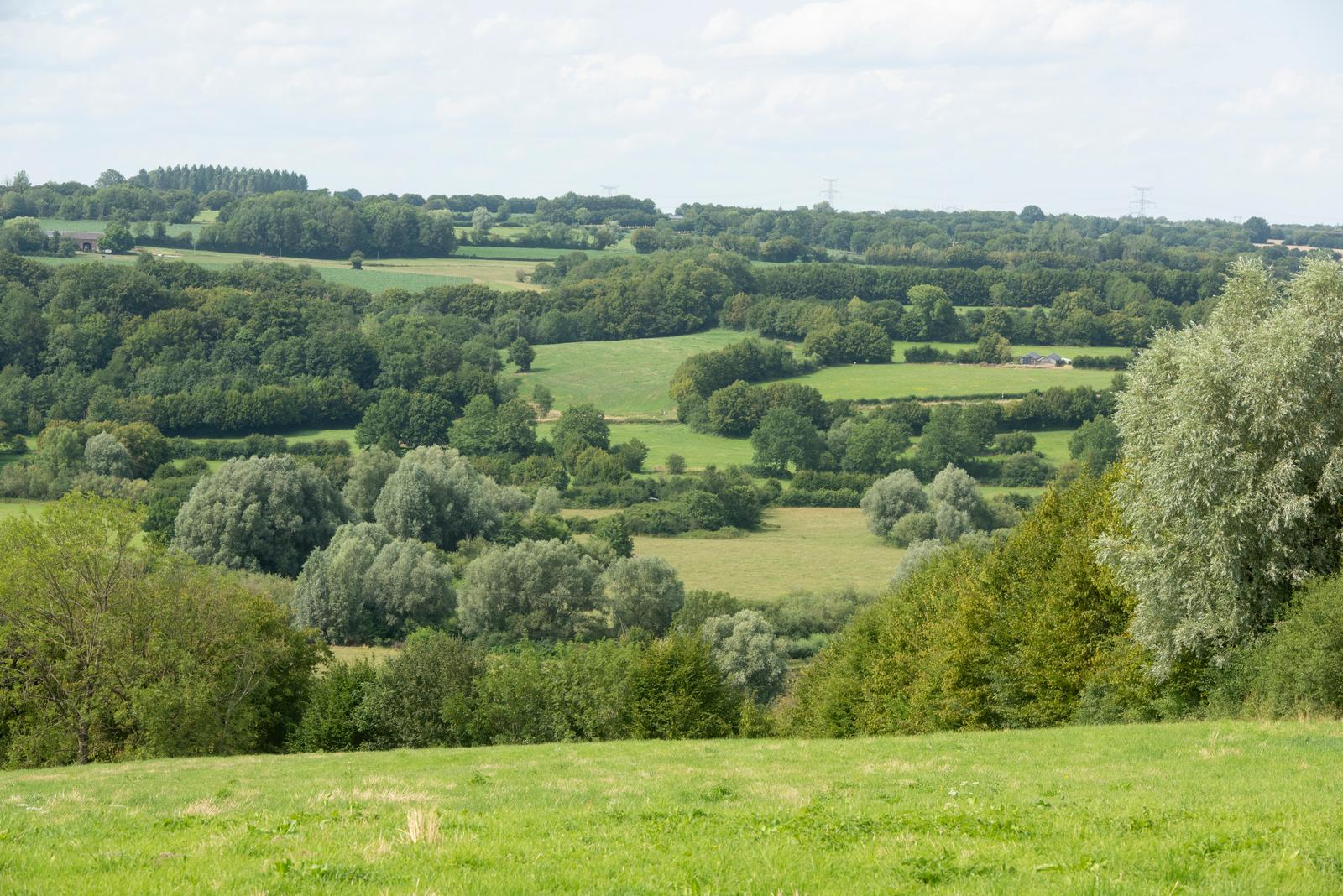 Etréaupont : vue sur la campagne au domaine des Foulons 01
