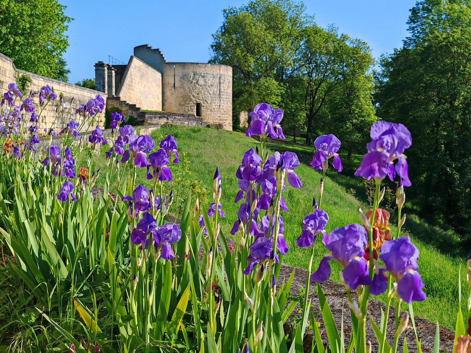Coucy-le-Château-Auffrique : le château 01