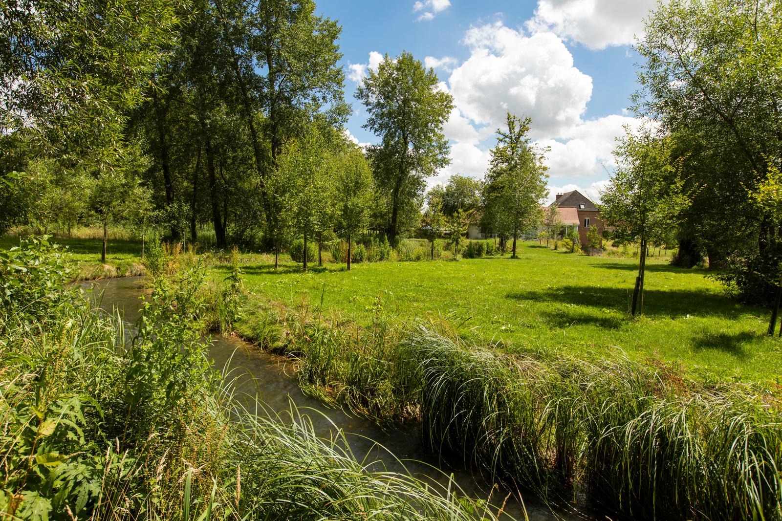 Estrée-Wamin : cours d'eau dans la campagne près du gîte Le Moulin Sainte-Marie 03