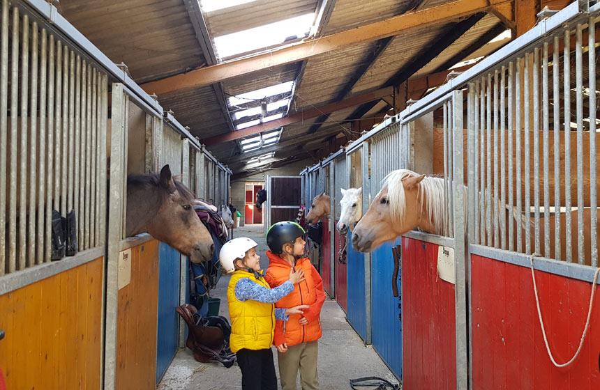 Conty : écuries de la roulotte "Selle insolite" 22