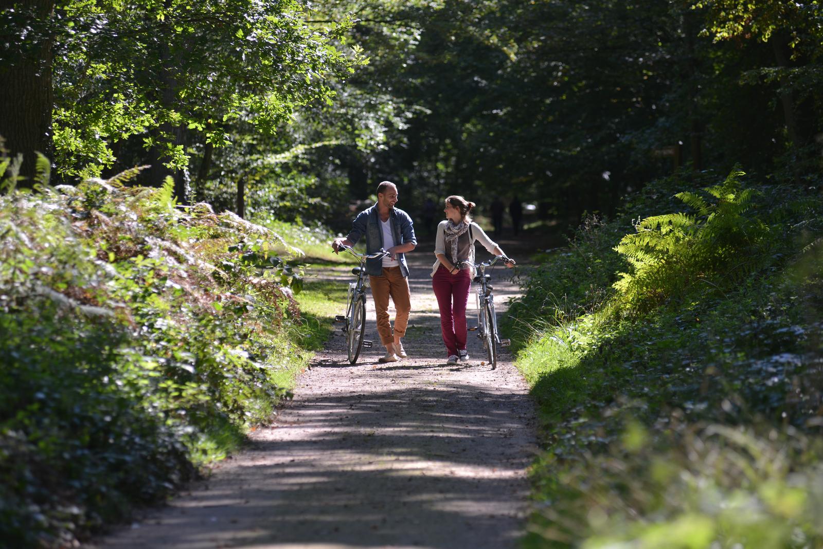 Compiègne : couple à vélo dans la forêt en été 04