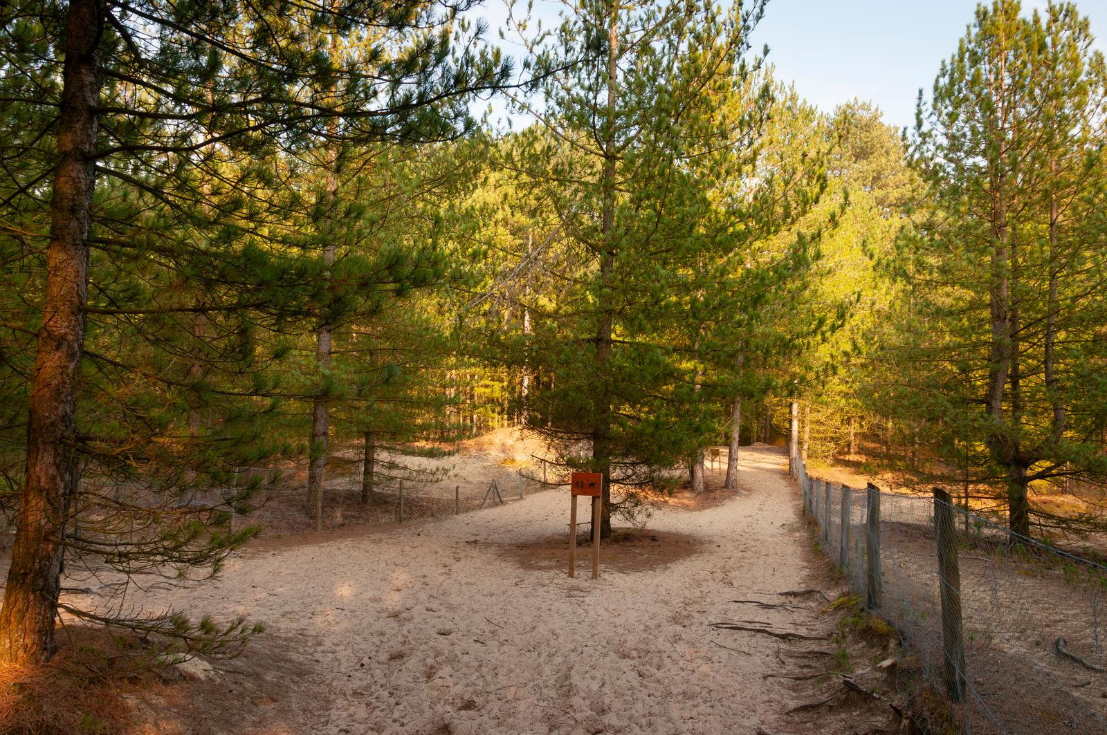 Saint-Quentin-en-Tourmont : le sentier d'accès à la mer
