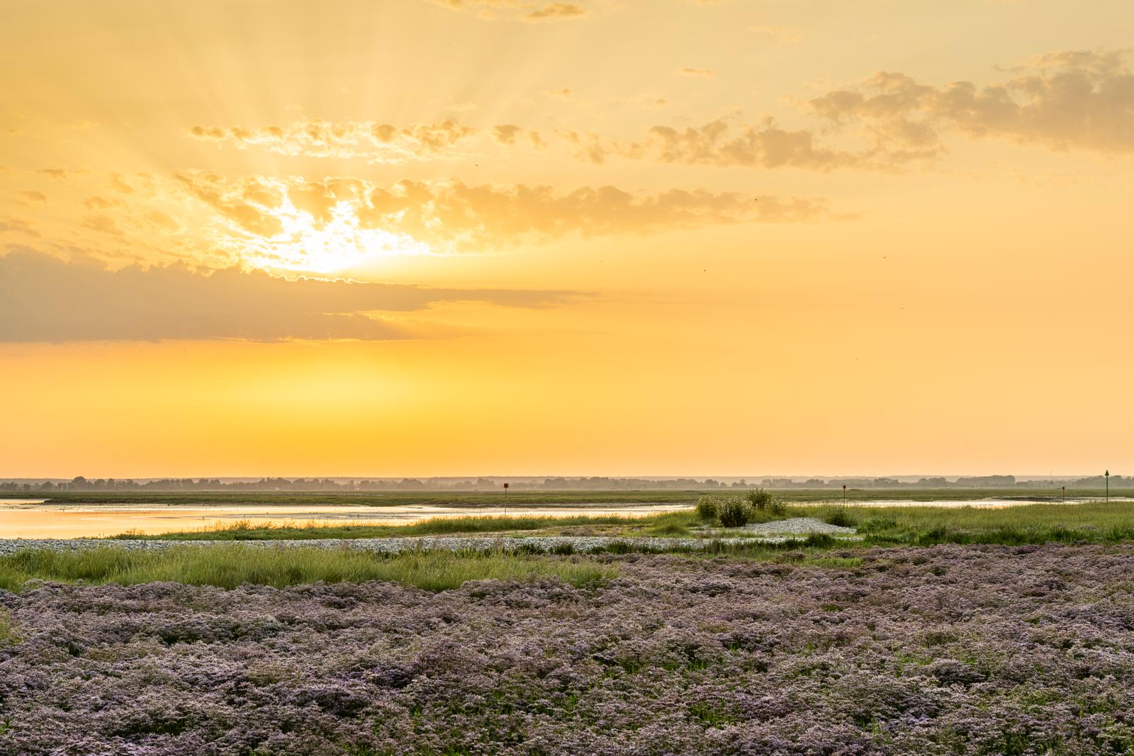 La Baie de Somme