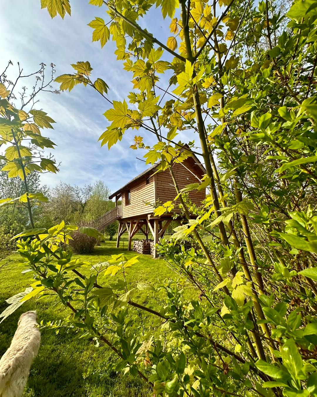 Roy-Boissy : camping Pause du Vieux Moulin cabane cosy 25