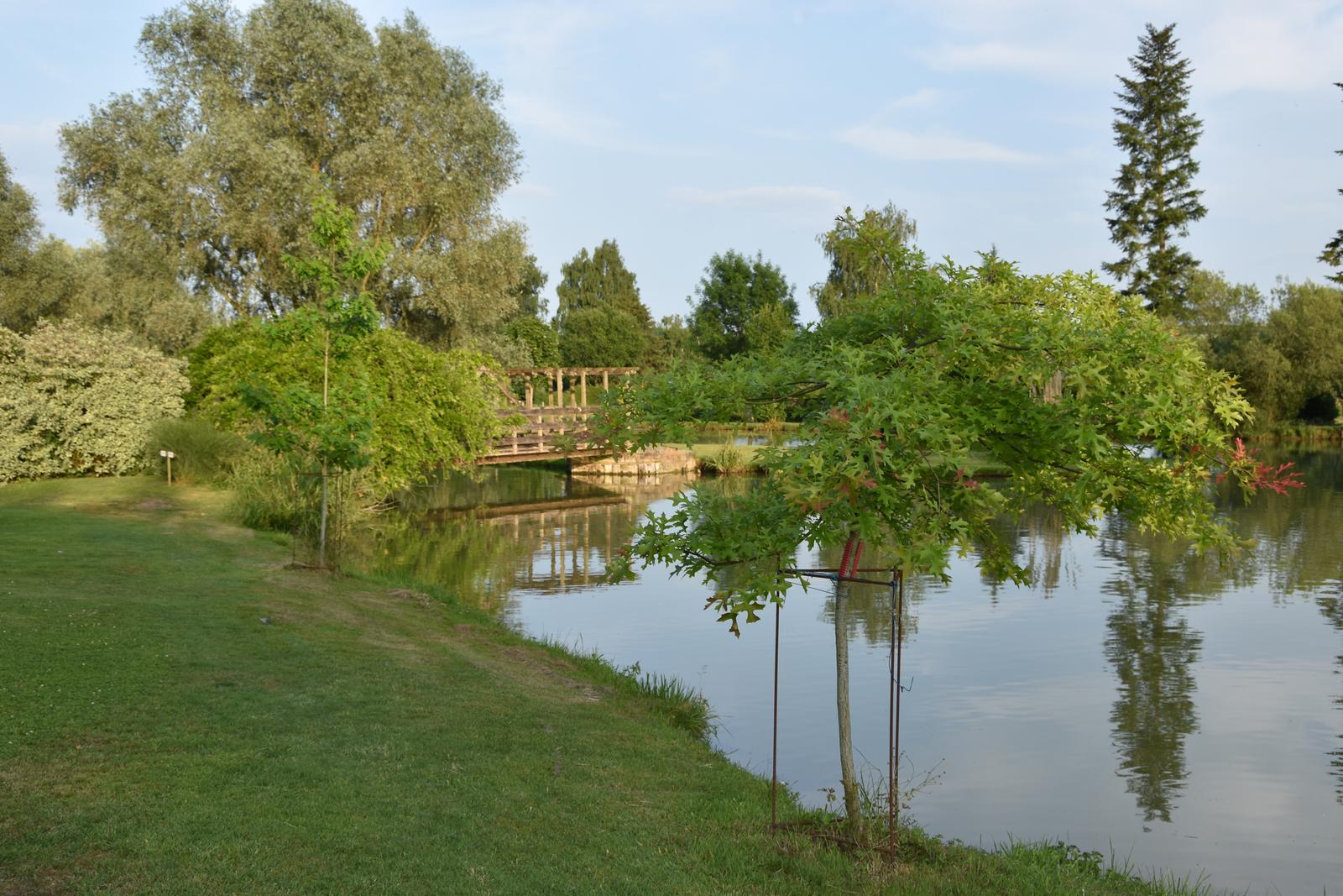 Malzy : Etang des sources - Pêche à la carpe 01