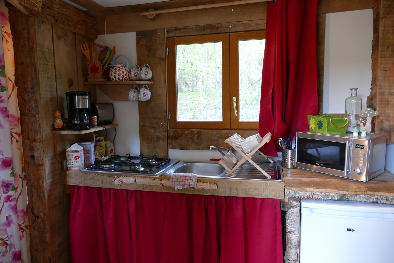 Pierrefonds : coeur de la forêt - cabanes de trappeurs  12