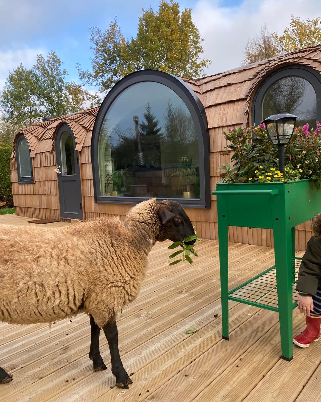 Roy-Boissy : camping Pause du Vieux Moulin 13