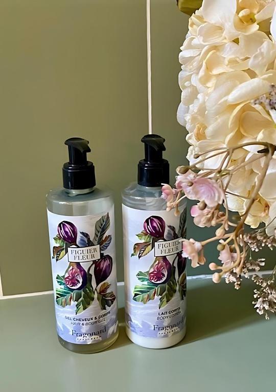 Ermenonville : Château d'Ermenonville  19