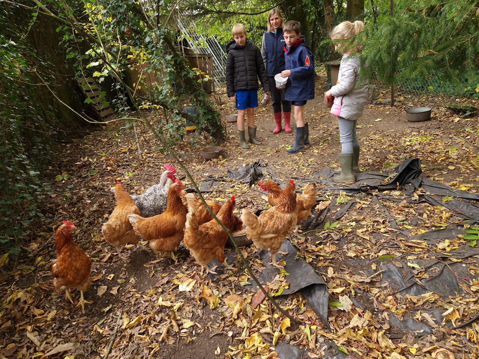 Eparcy - chambre d'hôtes la Ferme du Château 24