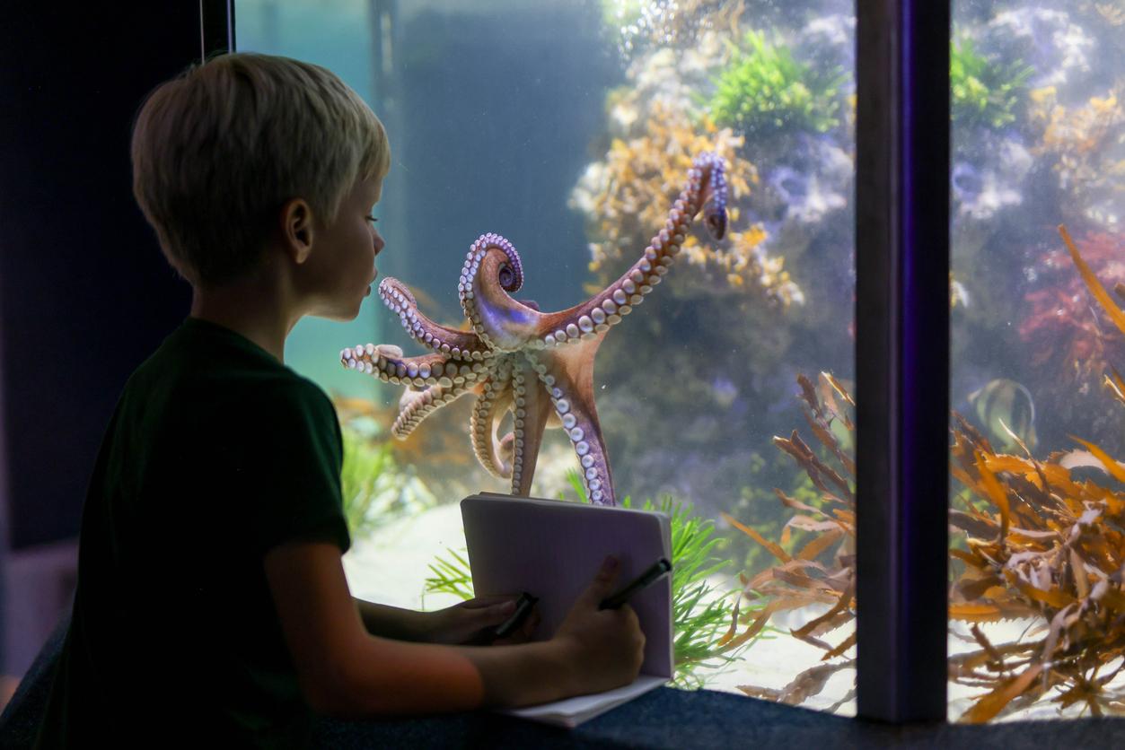 enfant aquarium poisson iStock-2206612252