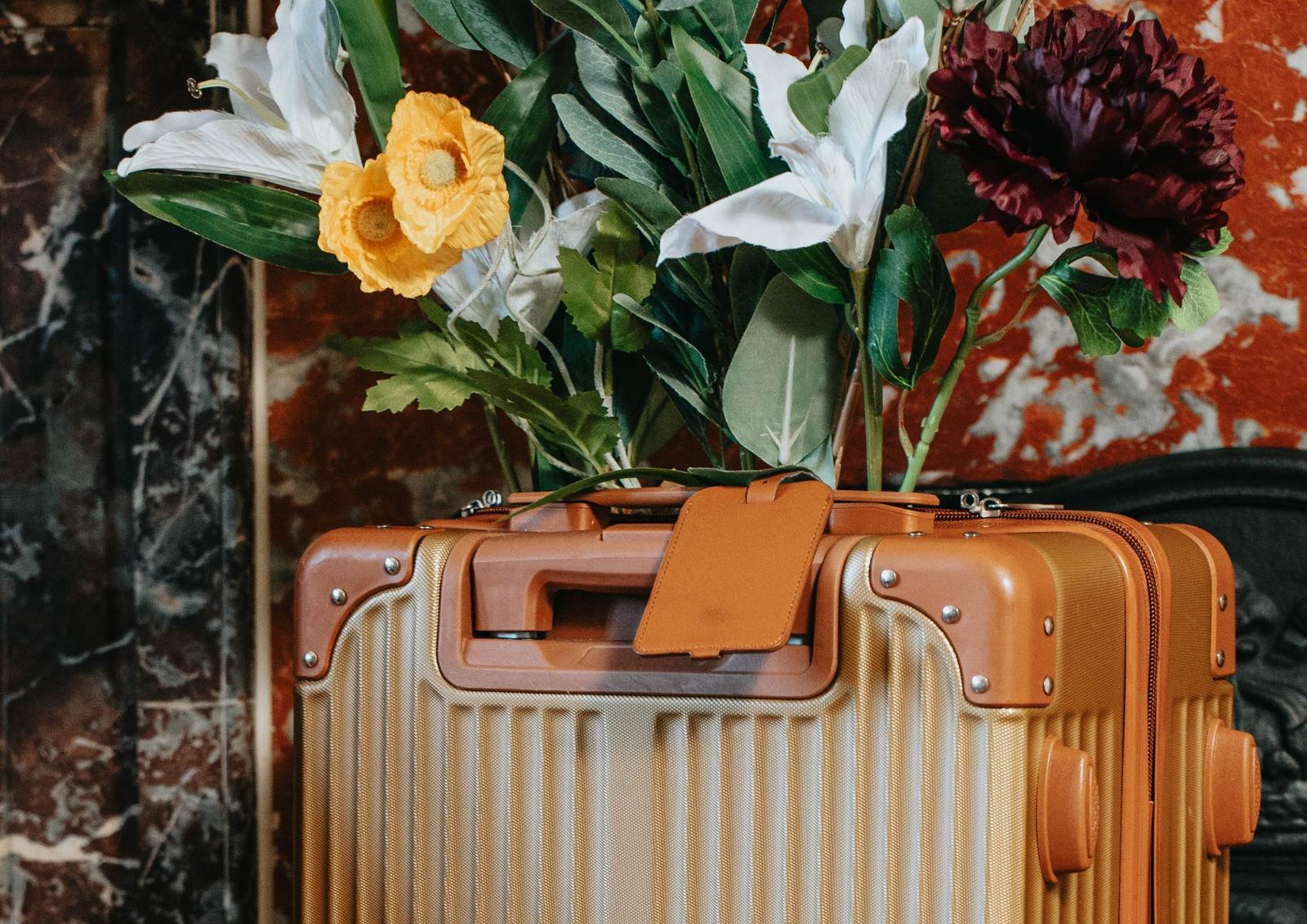 Gouvieux : Hôtel Jeanne and the Forest  02