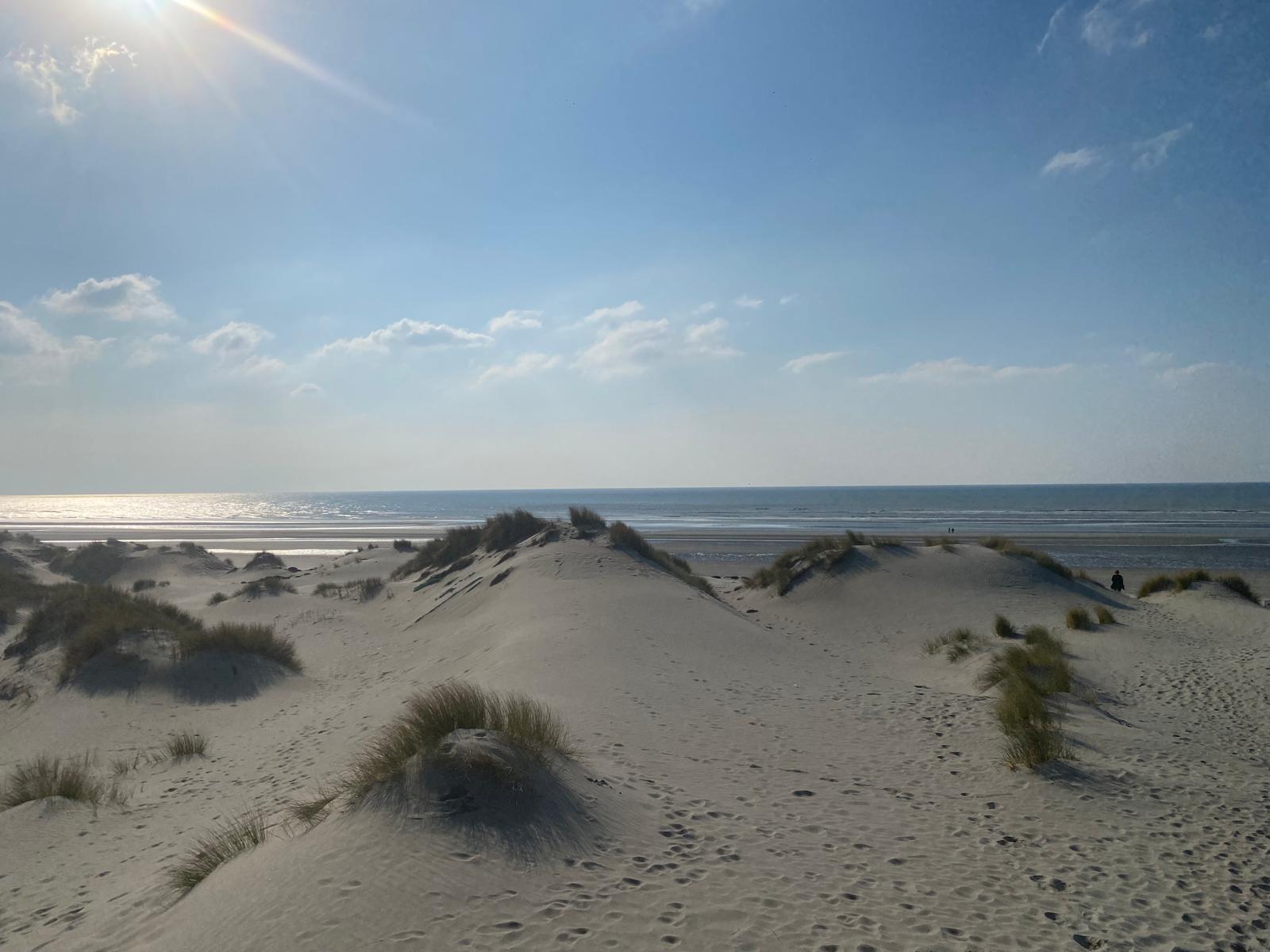 Saint-Quentin-en-Tourmont : sentier d'accès à la merIMG-20260203-WA0020