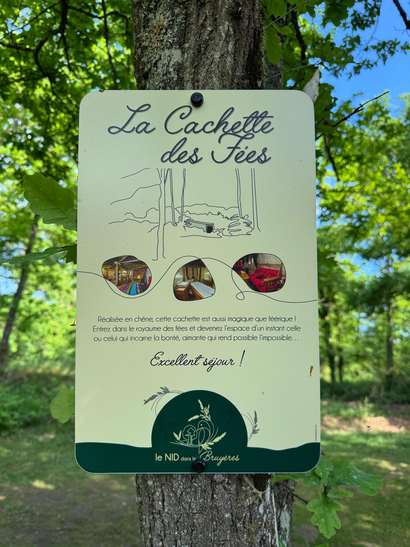Cachette des Fées - Nid dans les BruyèresIMG_6077