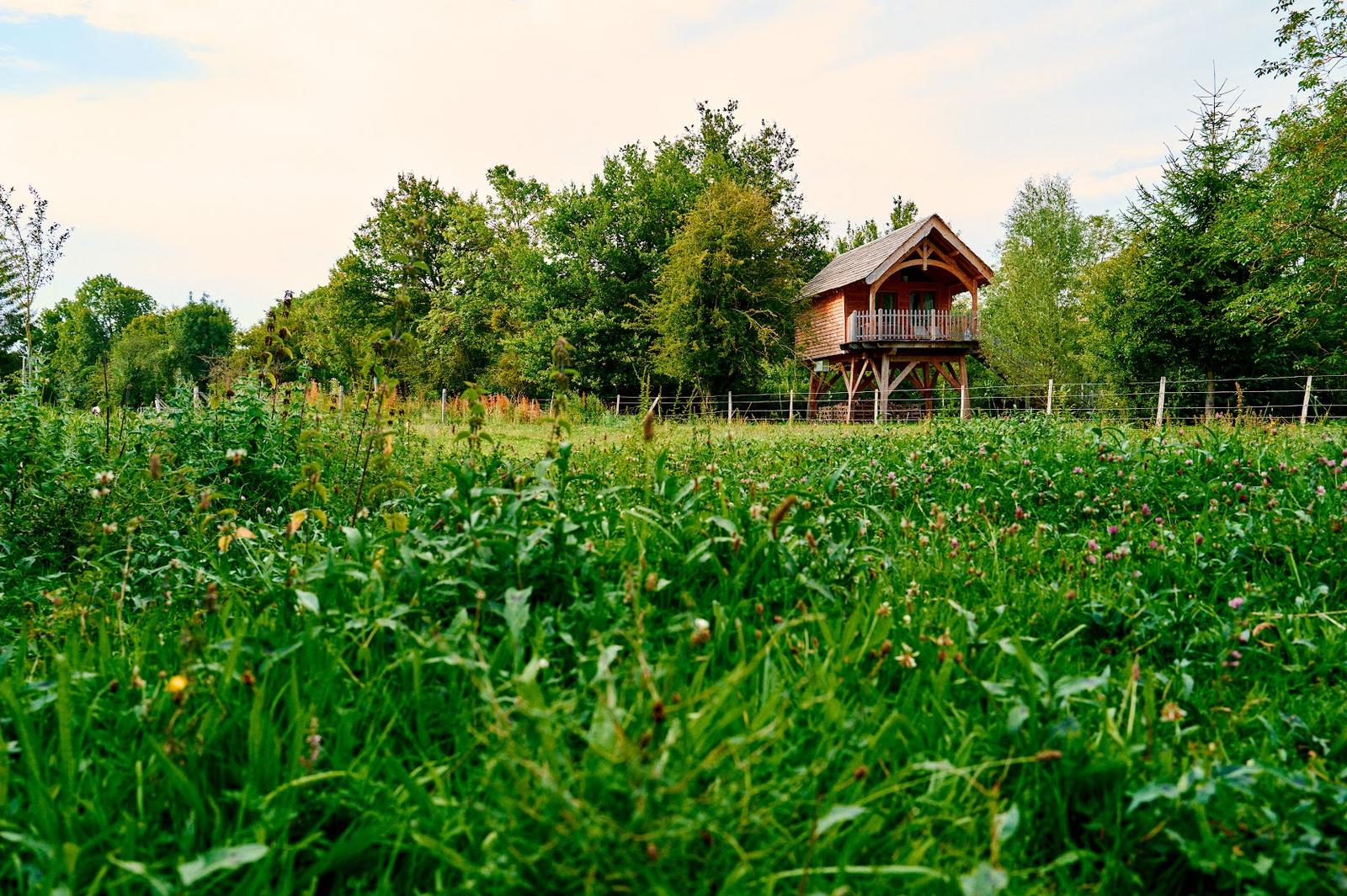 -Au Vieux Moulin - cabane cozy2