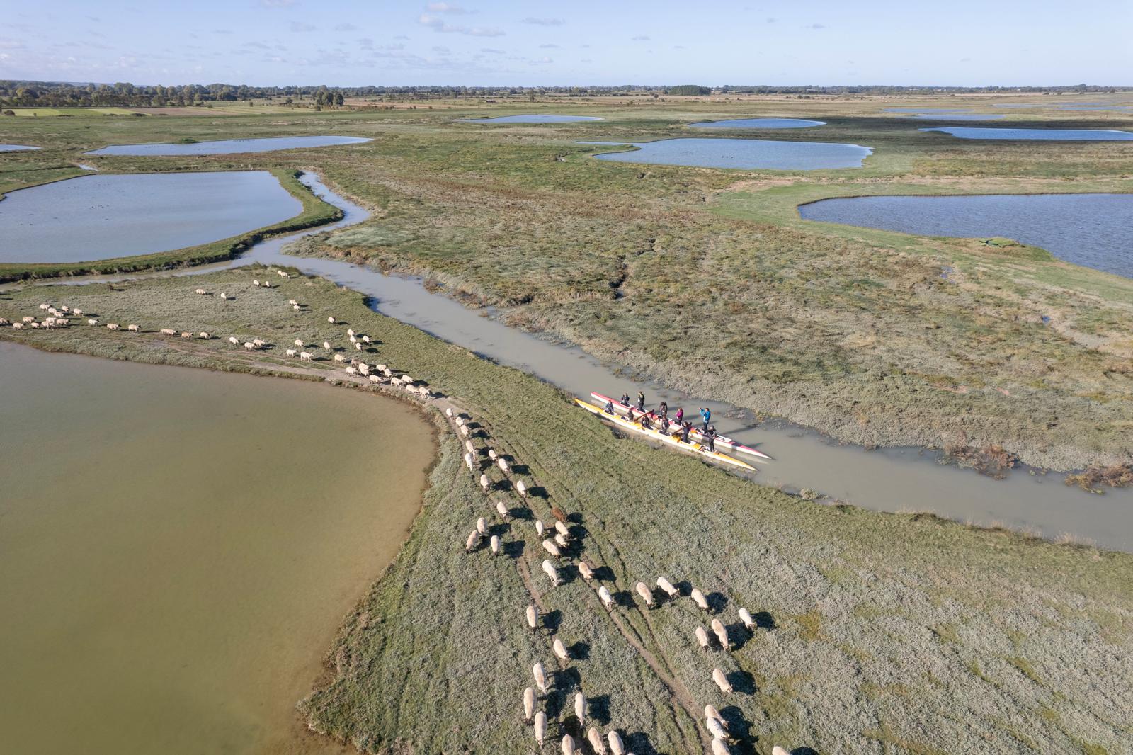 Baie de Somme : sortie en pirogue avec un guide