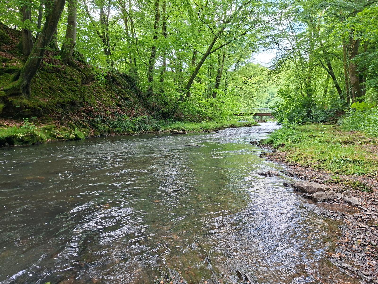 Hirson : rivière à la cascade de Blangy 01