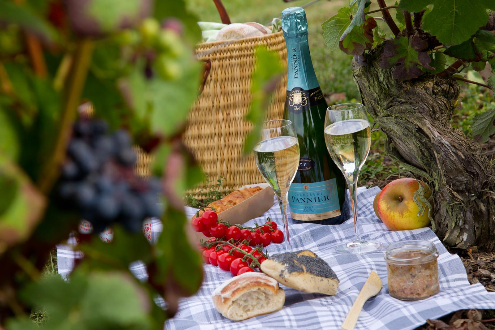 Château-Thierry : vignobles de Champagne