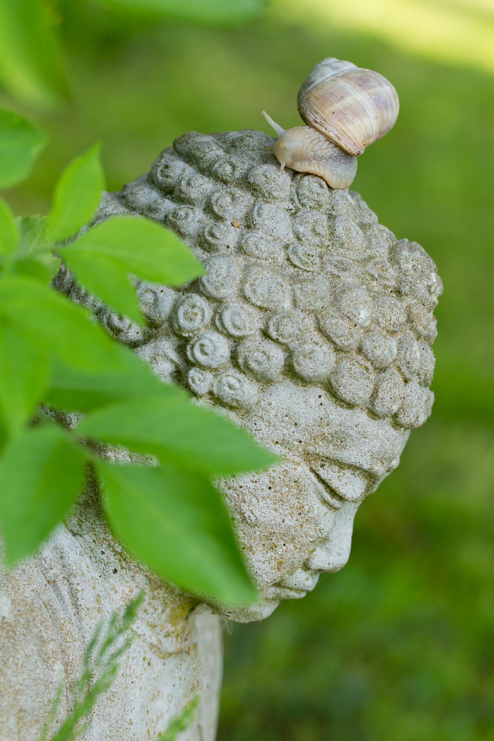 Héricourt-sur-Thérain : chambre d'hôtes Les Jardins de Beauve 14