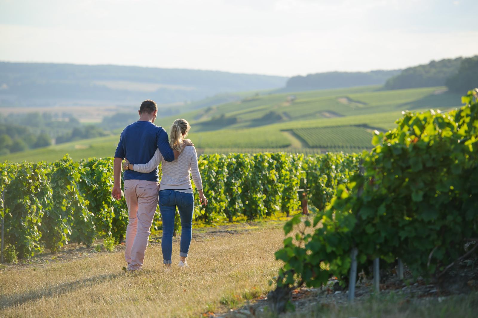 Vignobles Aisne