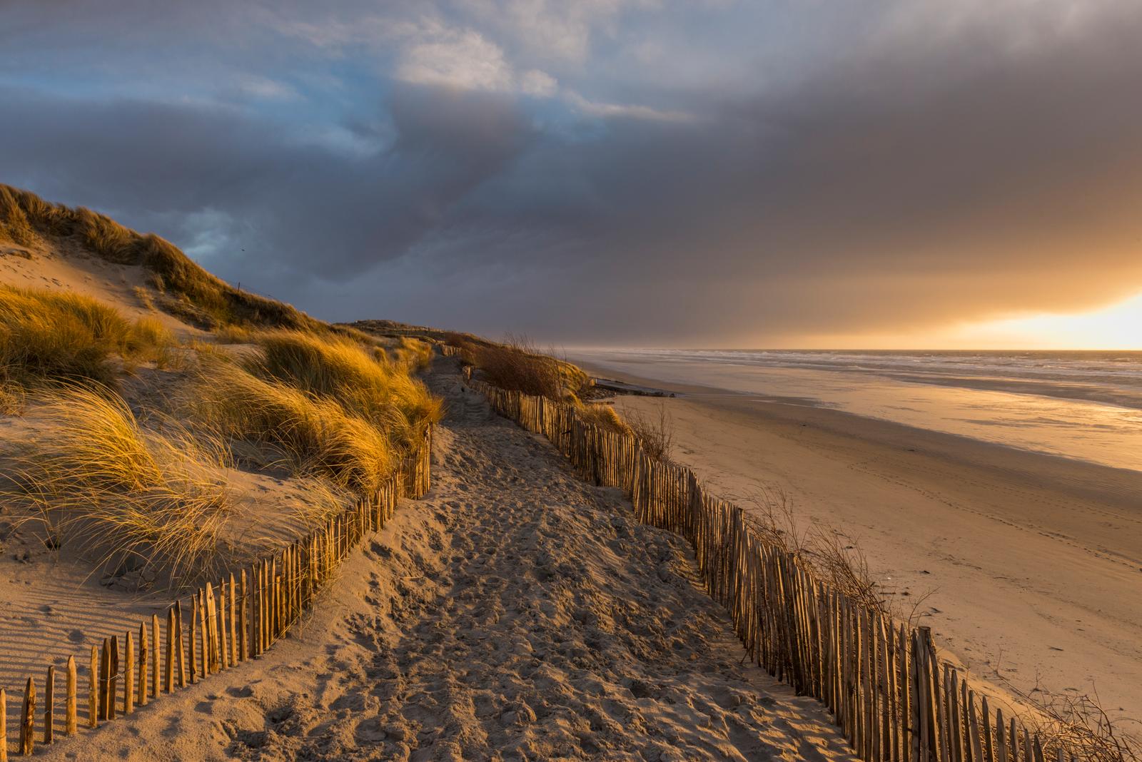 Quend-Plage : sentier dans les dunes