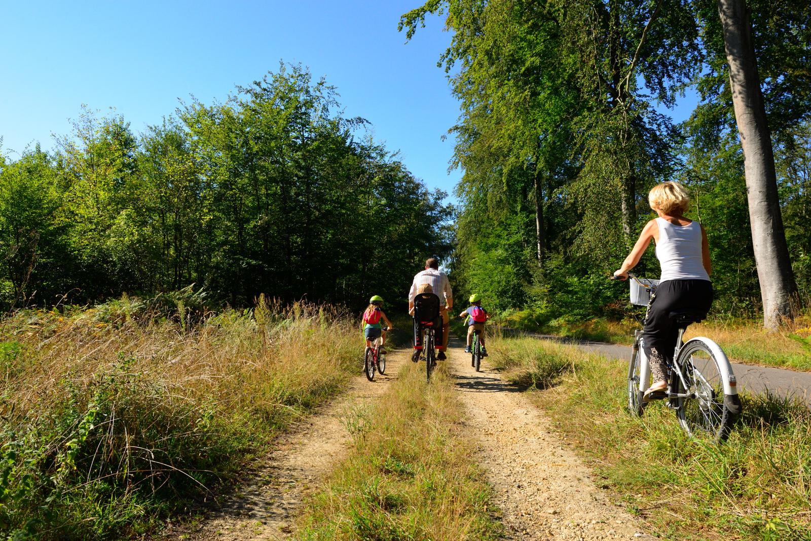 Compiègne : balade à vélo en forêt