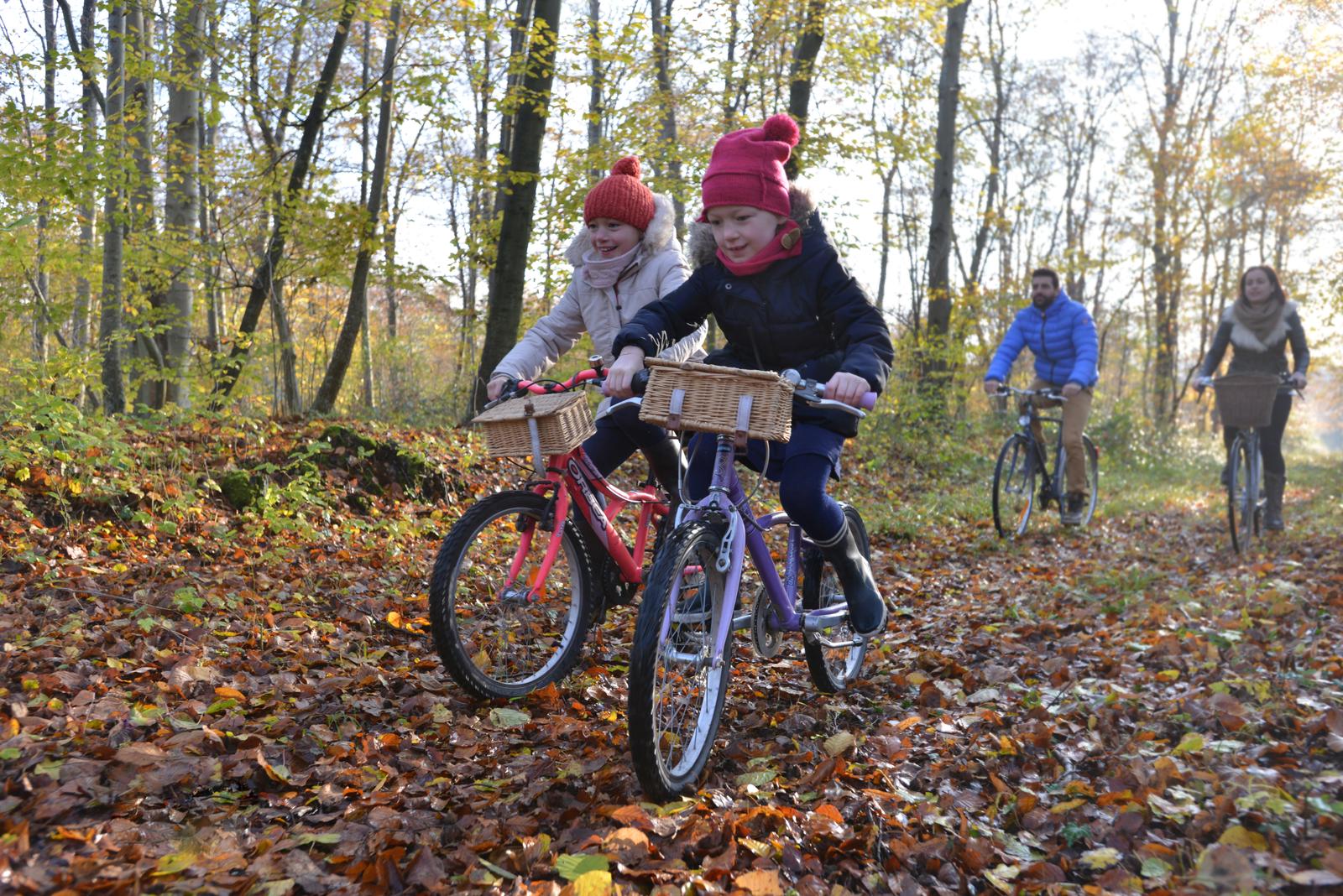 NB1116CompiegneForêt_0967