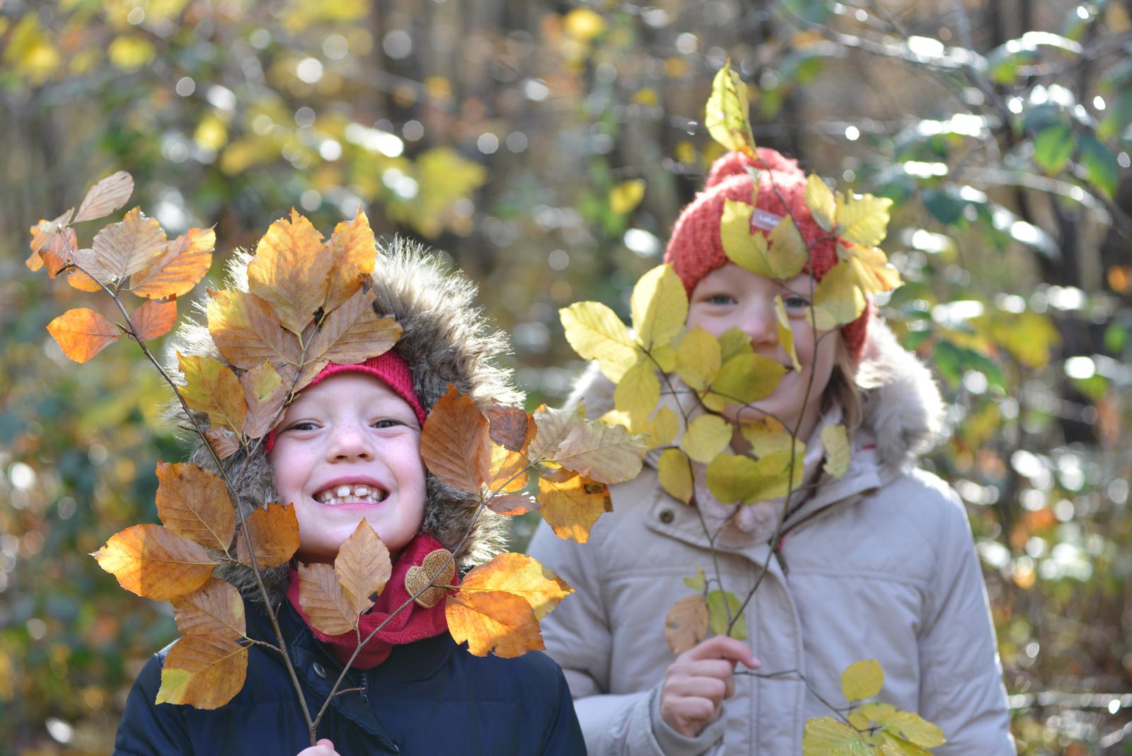 Compiègne - Enfants en forêt
