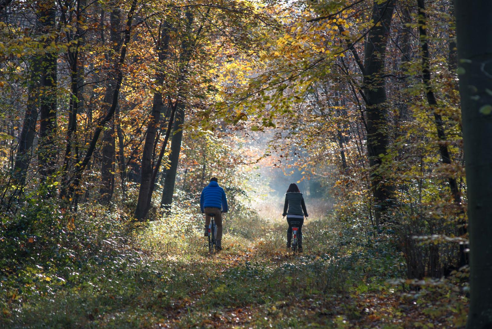 Forêt de Compiègne en automne : couple de cyclistes (9)