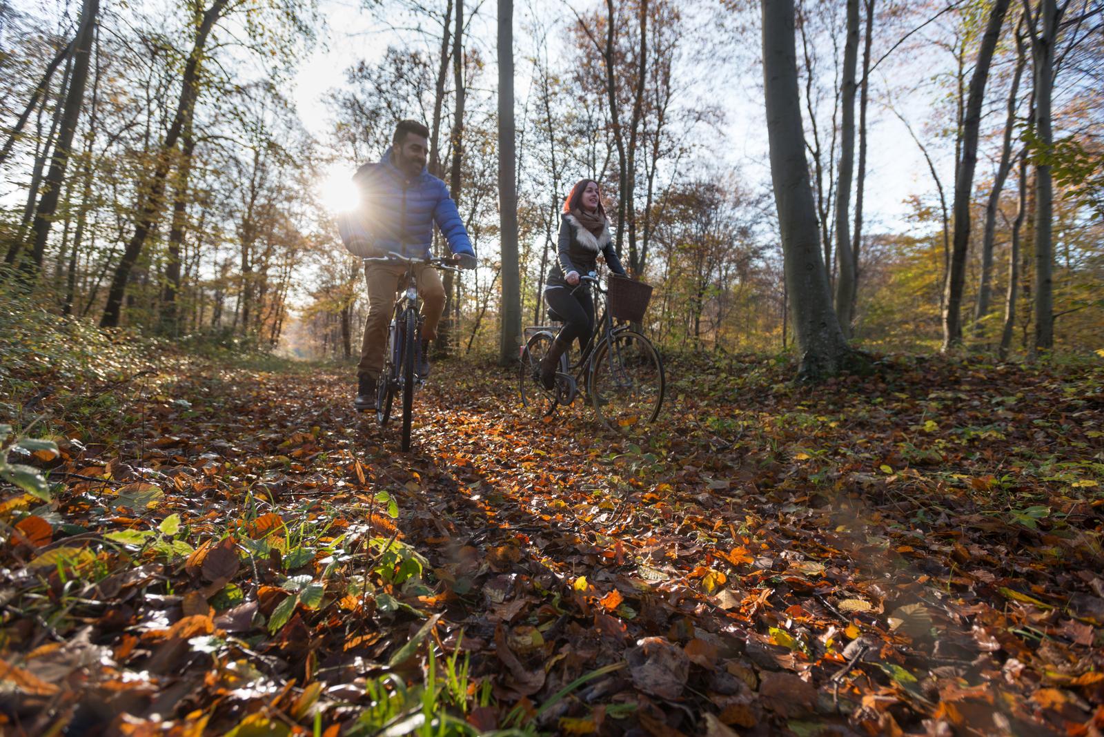 Forêt de Compiègne en automne : couple de cyclistes (2)