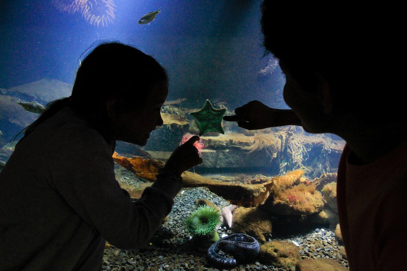 Boulogne-sur-Mer : Nausicaà 01