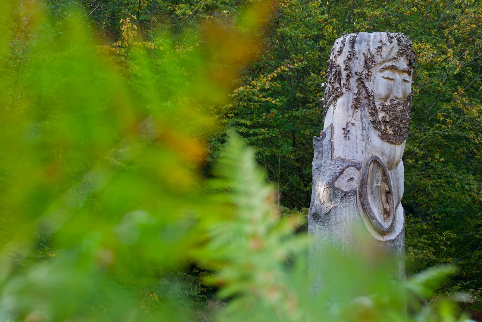 Bernay-en-Ponthieu : Domaine des Célestins - Bleu des Dunes