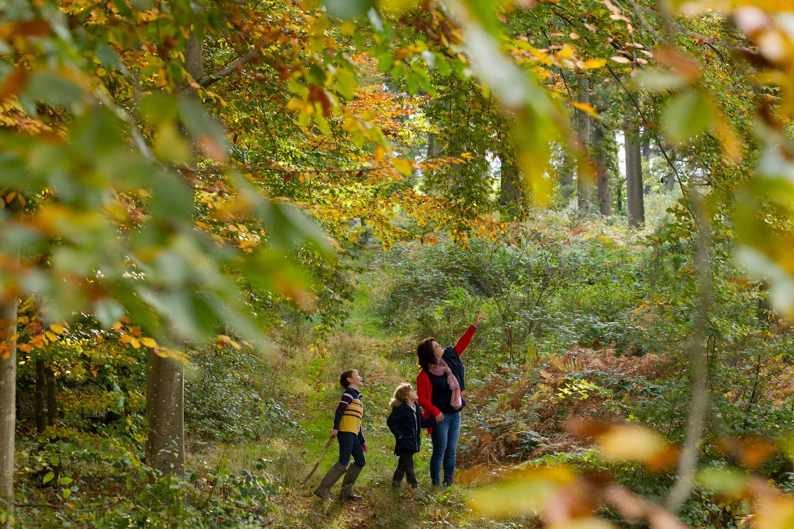 Bernay-en-Ponthieu : Domaine des Célestins - Bleu des Dunes
