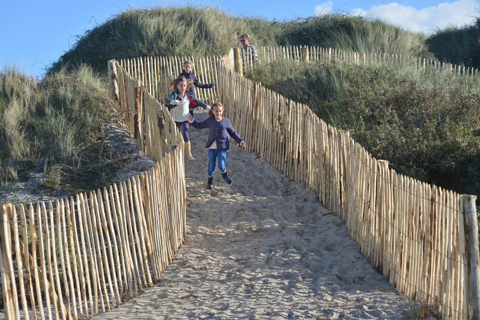 Cayeux-sur-Mer : balade dans les dunes