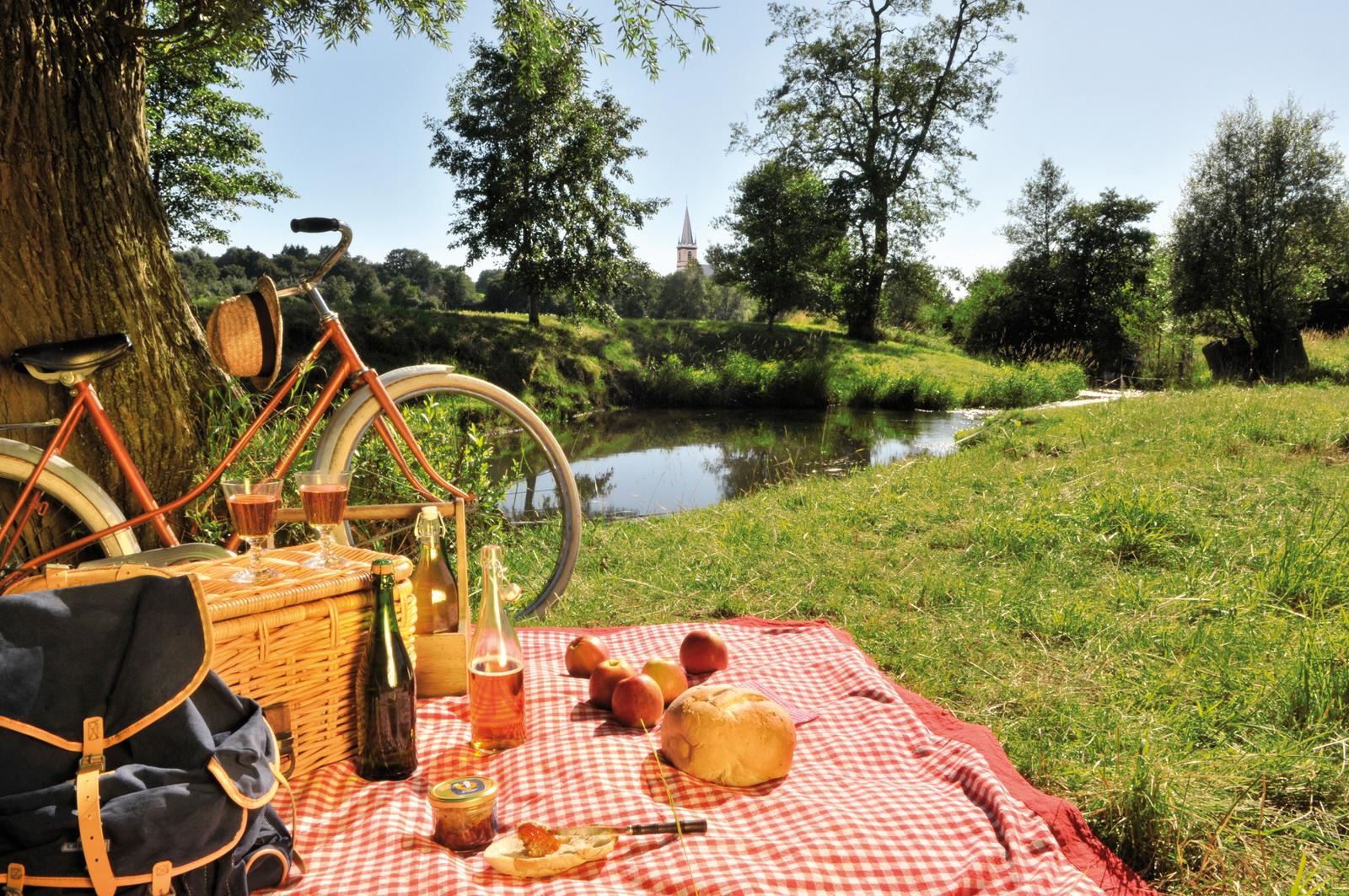 Pique-nique au bord de l'eau en Avesnois