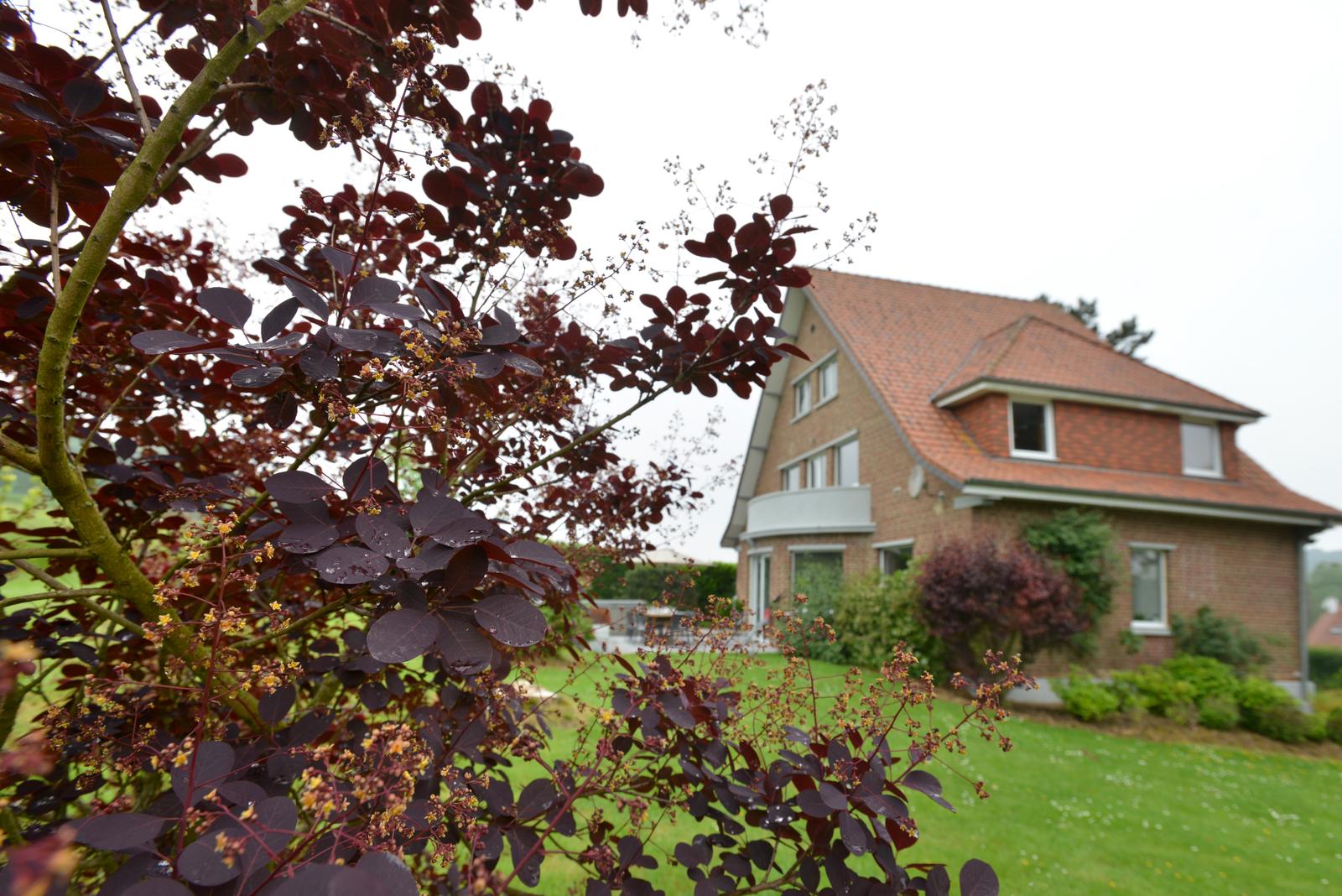 Loison-sur-Créquoise : Villa des Groseilliers 20