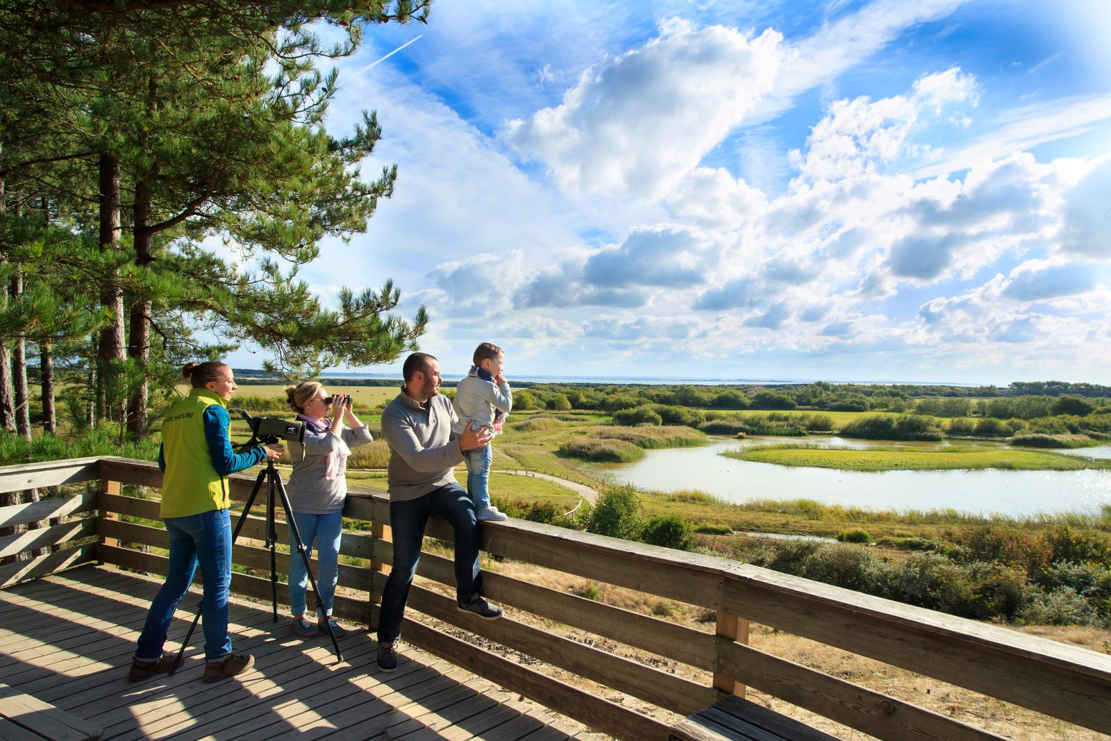 Saint-Quentin -en-Tourmont : le parc du Marquenterre 11