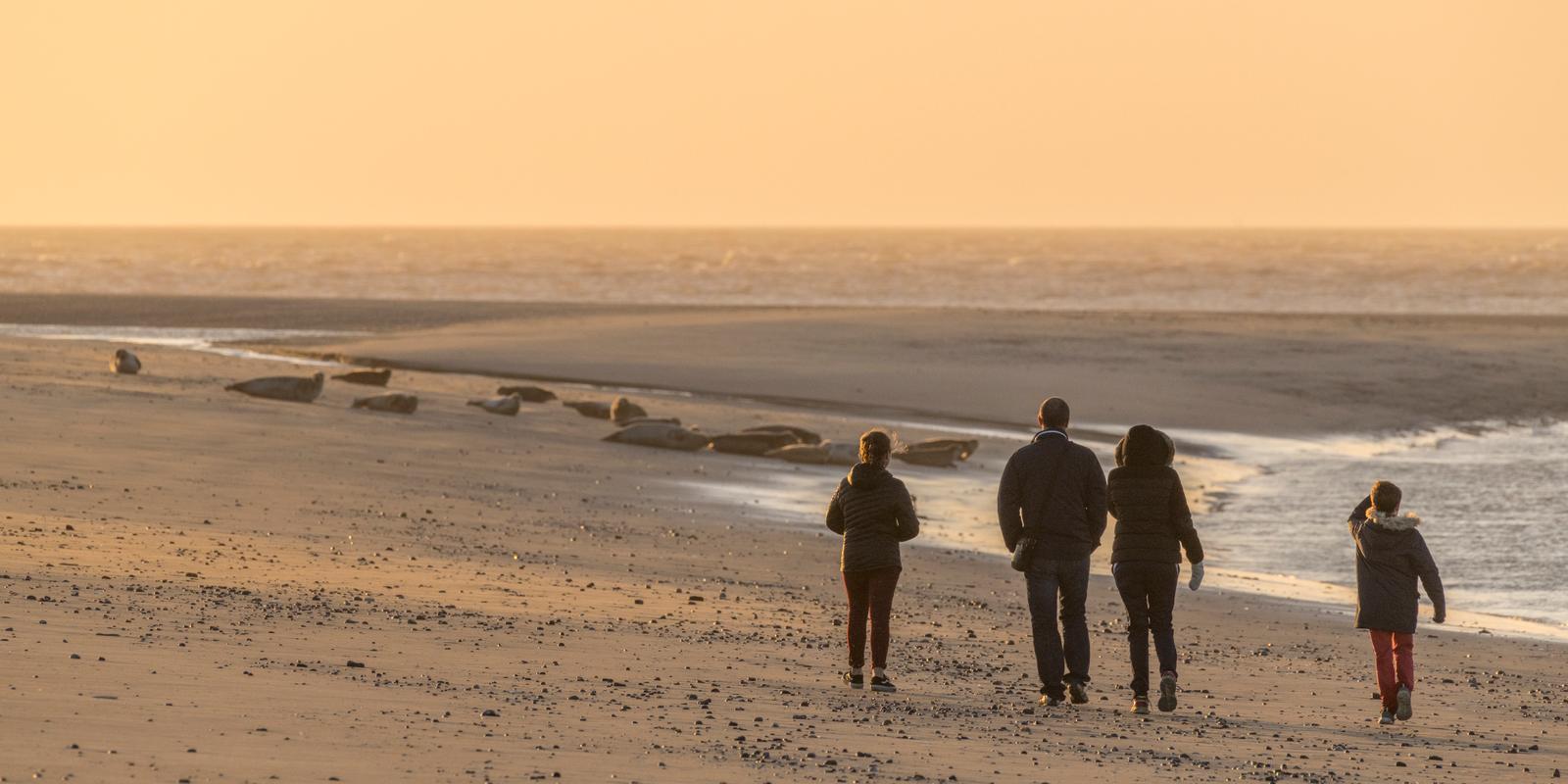 Le Hourdel : famille sur la plage observant les phoques