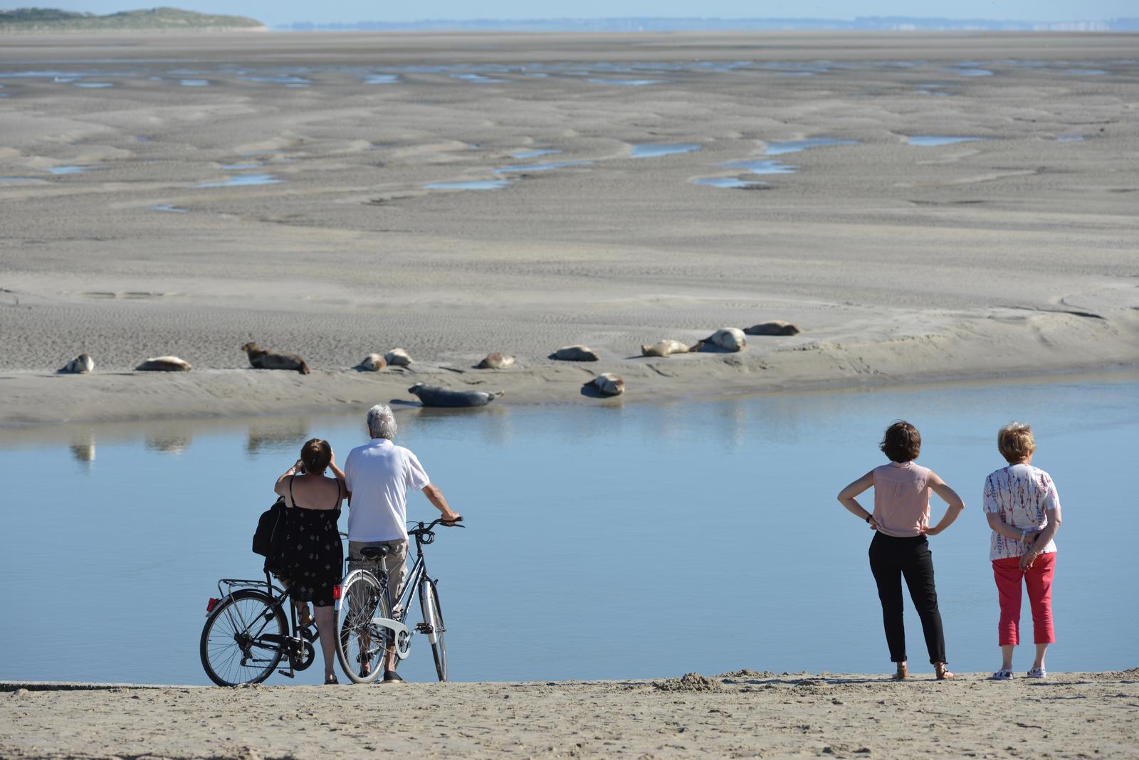 Berck-sur-Mer : couple à vélo observant les phoques