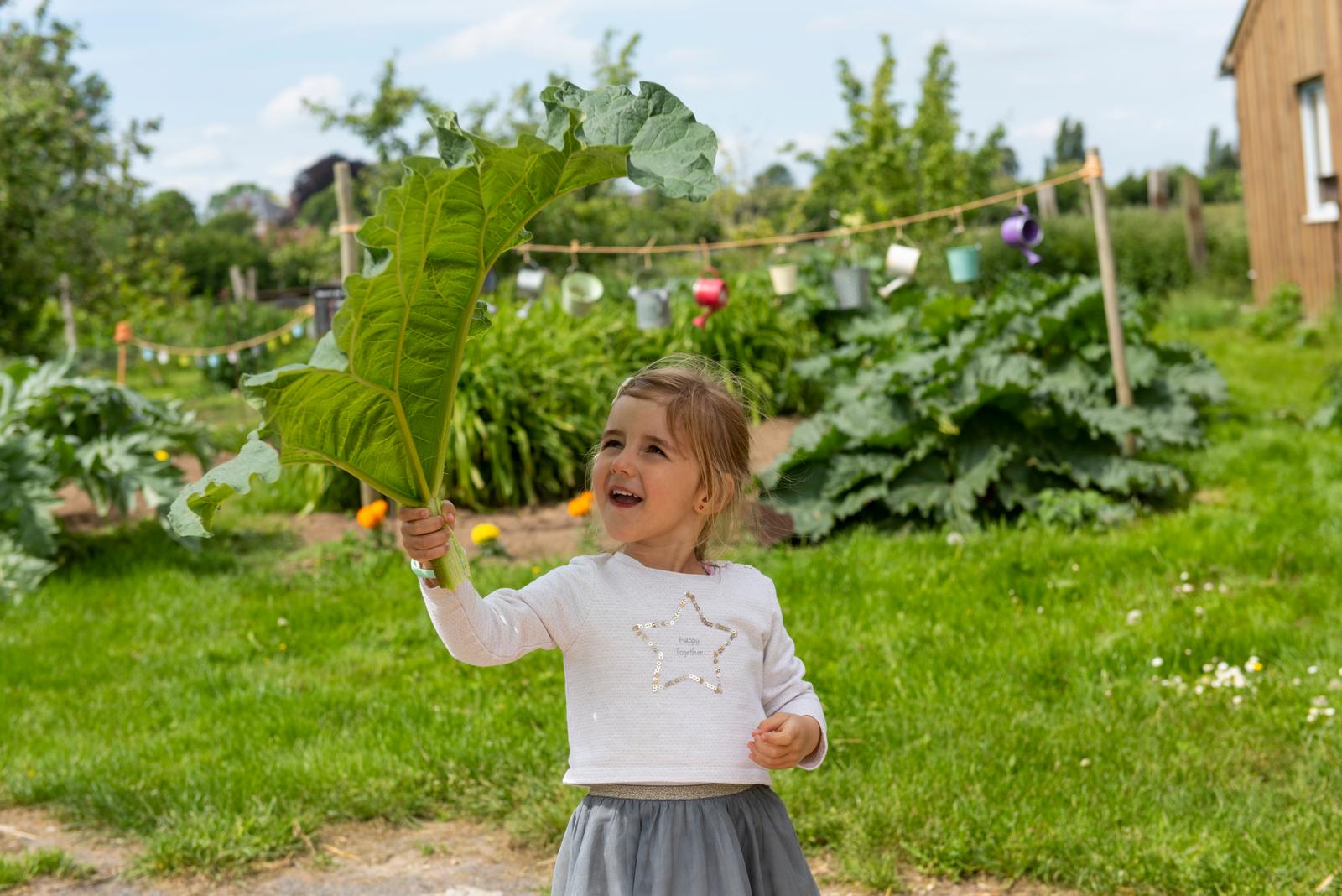 Villers-au-Tertre : la ferme du Tertre, fillette dans le jardin