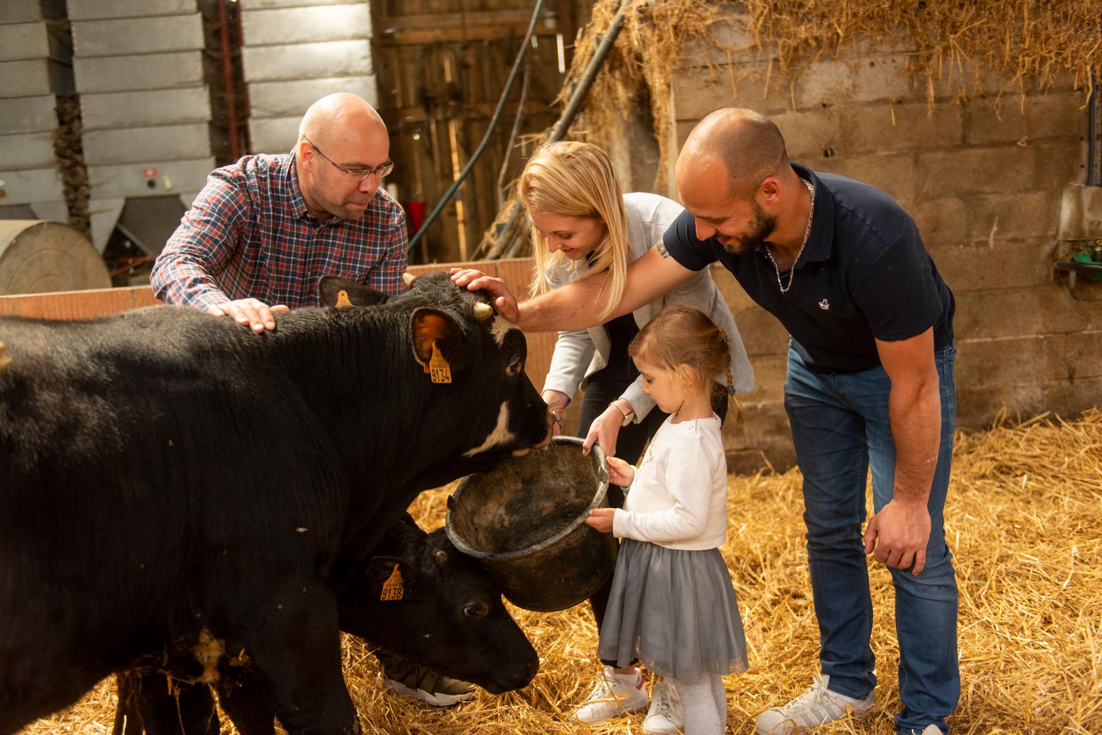Villers-au-Tertre : la ferme du Tertre, l'étable