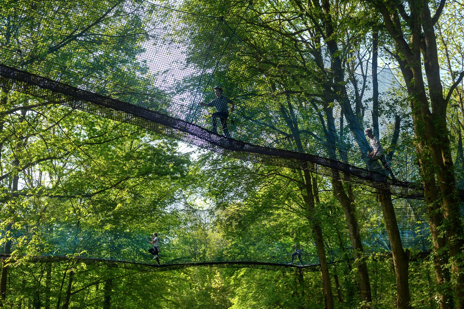 Maisnil-les-Ruitz : Les Nids d'Ile - Parc départemental d'Olhain 16