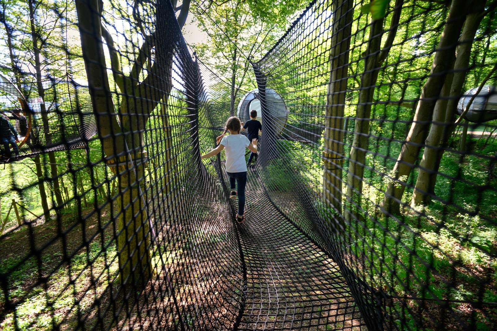 Maisnil-les-Ruitz : Les Nids d'Ile - Parc départemental d'Olhain 02